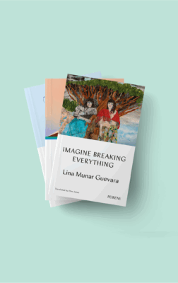 Peirene Novella Gift Subscription
