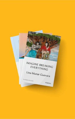 Peirene Novella Subscription