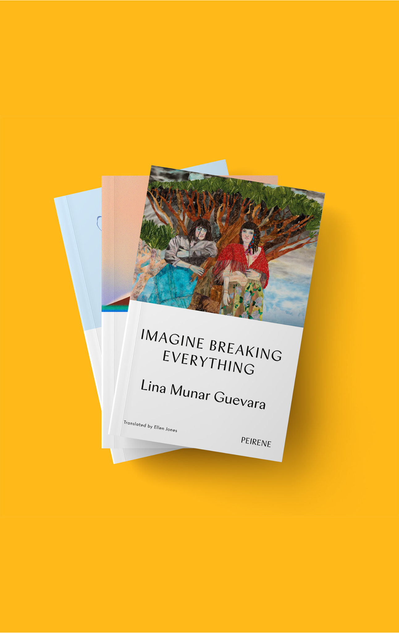 Peirene Novella Subscription
