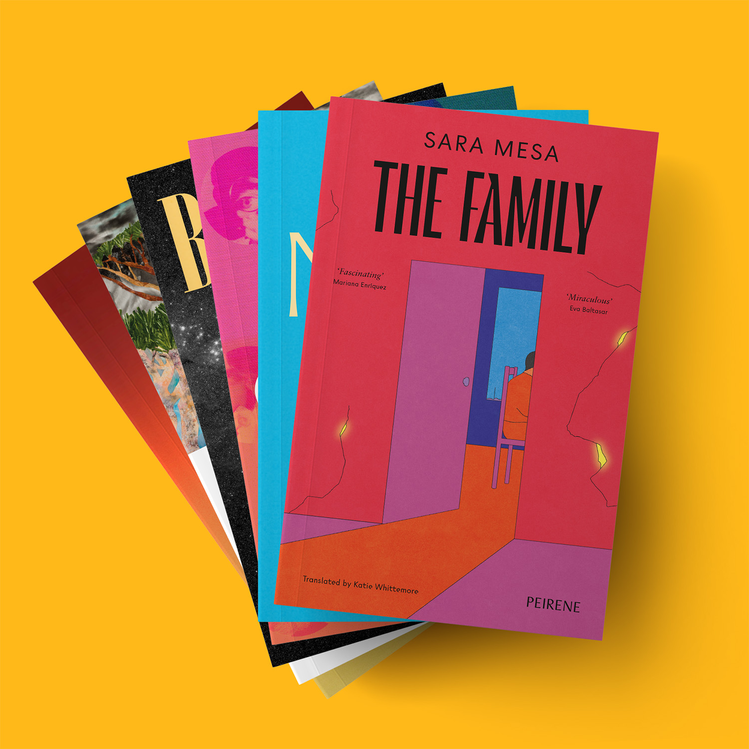 Upgrade your Novella Subscription